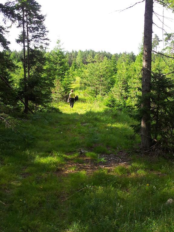 Maenniste Holiday Home Hiievalja ห้อง รูปภาพ