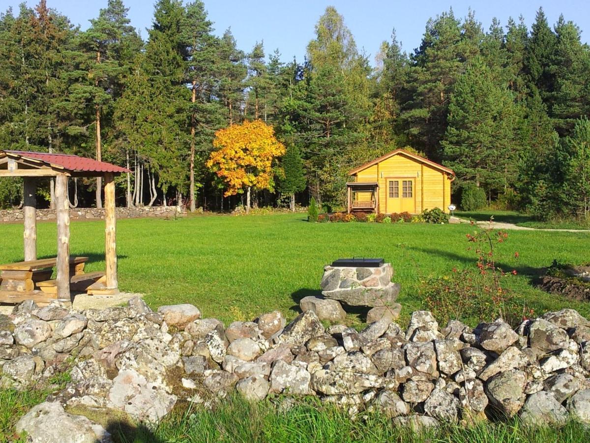Maenniste Holiday Home Hiievalja ห้อง รูปภาพ